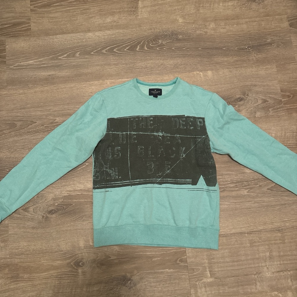 American Eagle Outfitters Mint Graphic Crewneck Sweater